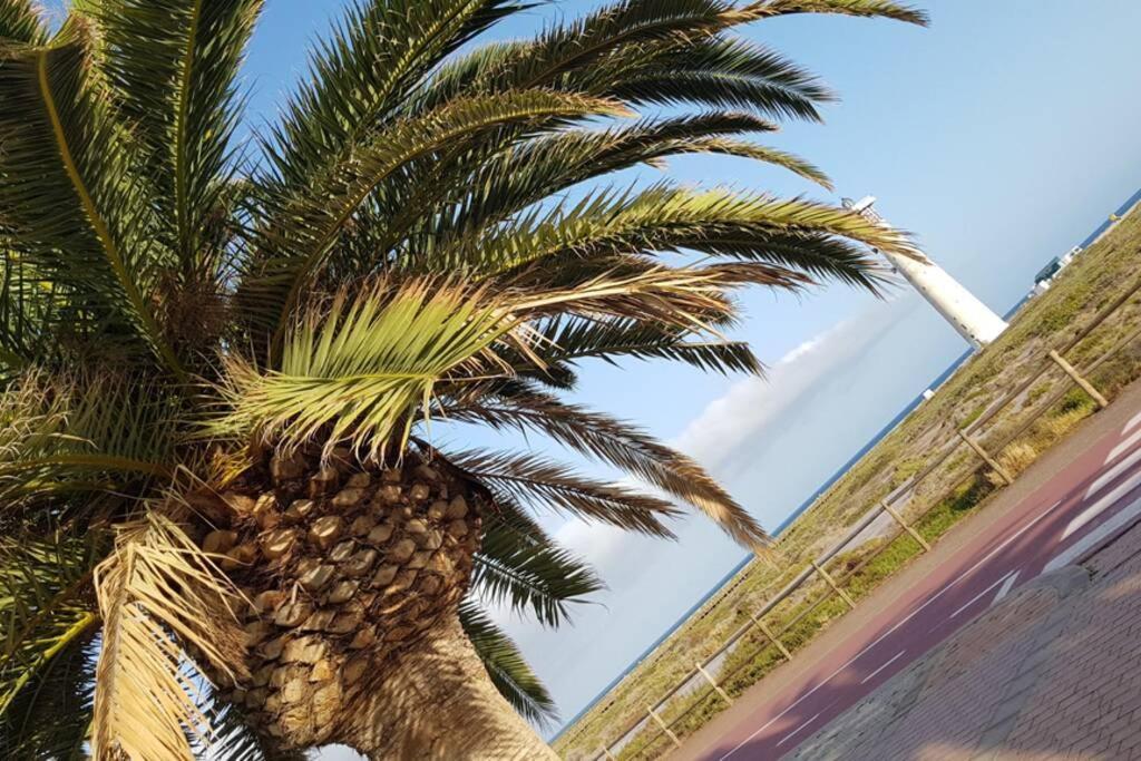 Front Beach Jandia Apartment Morro Jable  Eksteriør billede